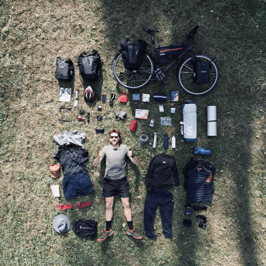 Instagram Trees on the Way