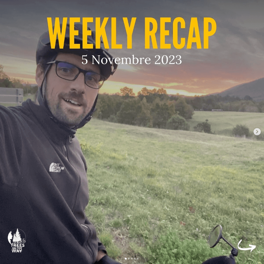 Instagram Trees on the Way